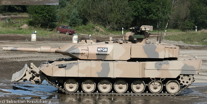 bw_kpz_leopard_2_a7plus-IMG_7712r.jpg